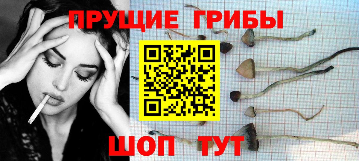 Псилоцибиновые грибы Psilocybine cubensis  Вход с VPN  Псилоцибиновые грибы MAGIC MUSHROOMS  Химки 